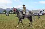 Horse Pic 2022