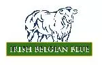 Belgian Blue Image